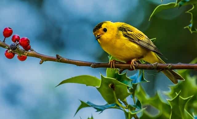 汽车喇叭为什么小(汽车搭电为什么喇叭响)