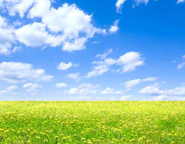 靶向药新星·拉罗替尼不限癌种（Larotrectinib，LOXO-101）