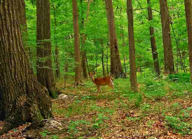 知乎携手京东、品牌商家，共创 11.11 家电家居消费指南