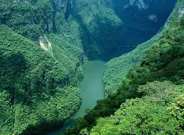 学点“猫咪心理学”，袖虎很靠谱