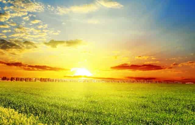 热火凑不齐8人出赛大名单 今天对阵绿军被推迟