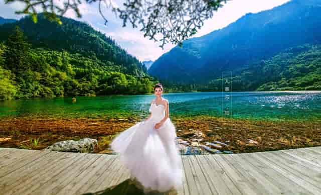 袖虎病狗攻略：狗狗体臭怎么办