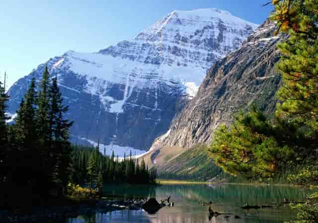 蔡嘉珍獲得註冊理財規劃師專業稱銜，秉持職業操守與執業準則，開啟財務規劃新征程