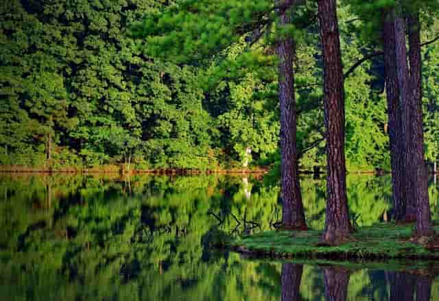 练瑜伽是练的什么(女生练瑜伽男生练什么)