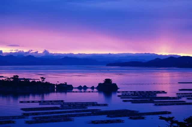 2021年录取分数线是多少