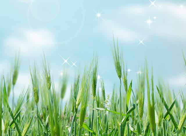 31省份新增确诊22例 本土3例