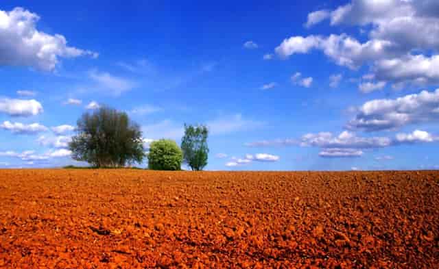 男人为什么会很喜欢那个女人