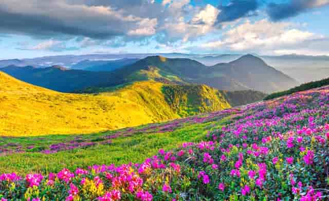 斯琴塔娜博物馆建馆十周年暨“追梦草原”香港大学生内蒙古暑期实习活动10周年即将推出“中华优秀传统文化传承创新论坛”