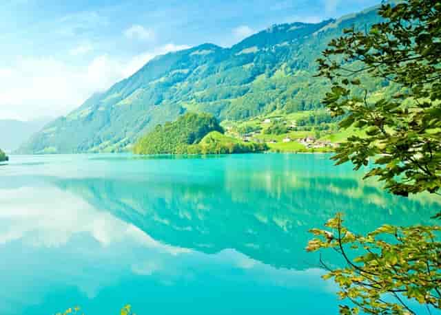 袖虎预警，夏季狗狗中暑要小心！