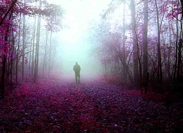 不爱你的人打你