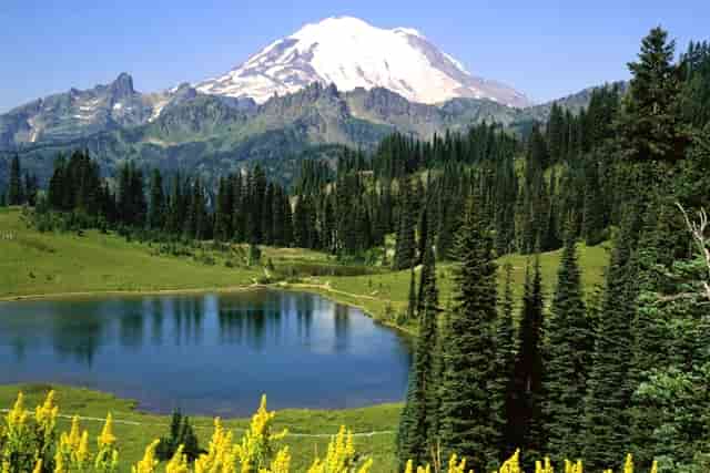 牛是怎么样的生肖(牛跟兔生肖在一起怎么样)