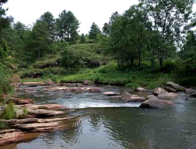 老伴和大爷对战游戏