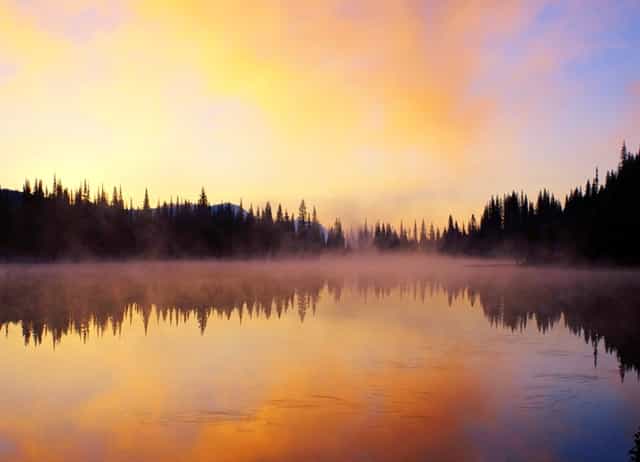 袖虎养猫疑问：它居然流红色的泪？！
