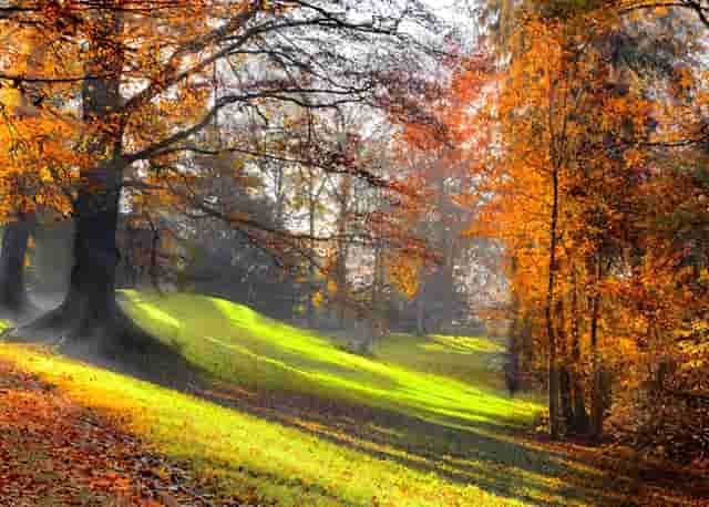 15个生活小技巧(生活理财小技巧)