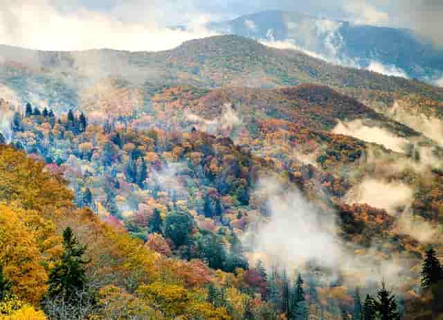 公务员能报名研究生报名