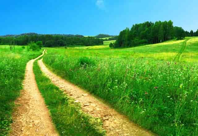 2021北京高考分数公布时间