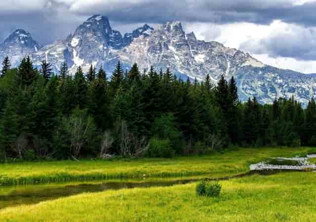 怎么快速划豇豆(豇豆怎么快速煮熟)