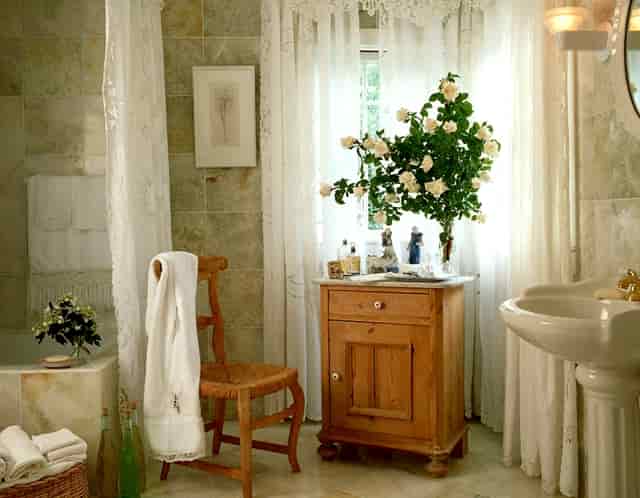 袖虎病猫攻略：猫咪腹泻的处理方法