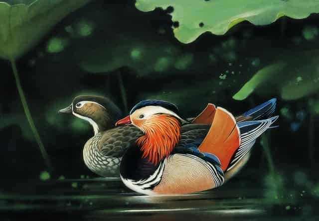 河长的(河长的像什么)