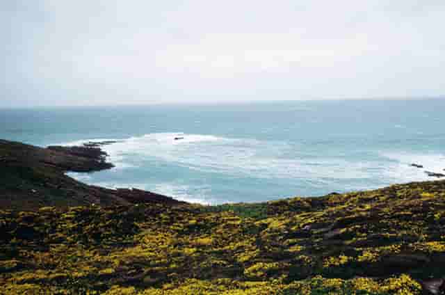 新浪官网、今日头条官网——国内仅有在个人手中的顶级域名