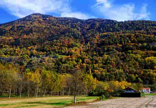 税务最优营商环境(税务营商环境措施)