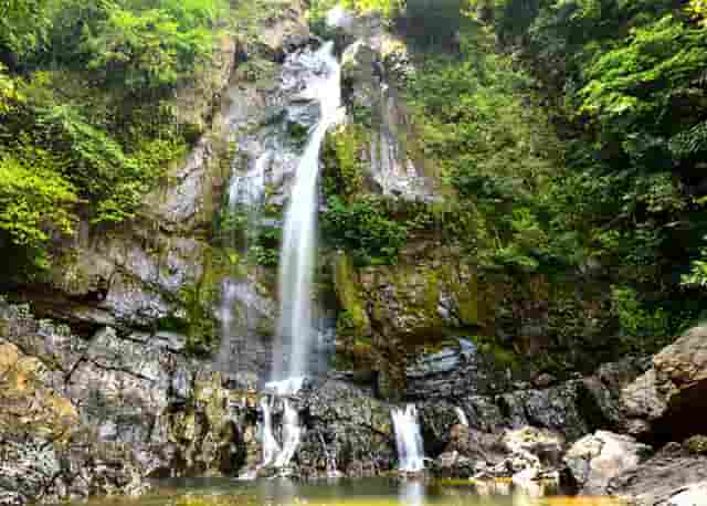 想入局宠物行业开店？袖虎宠物教你避坑免踩雷！