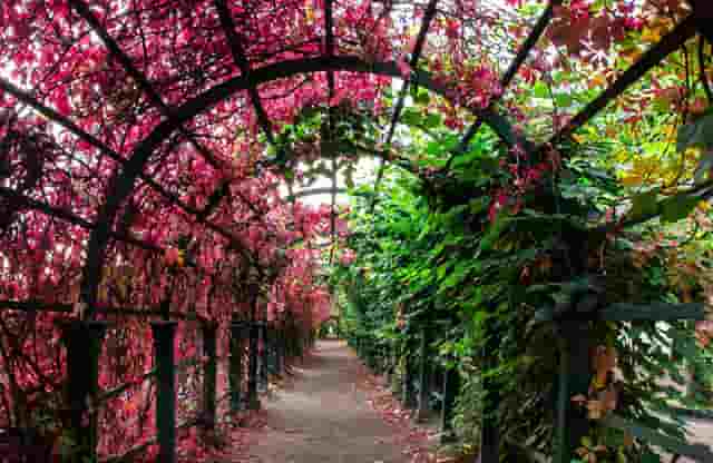 水煮蛋可以每天吃嘛(每天早上吃两个水煮蛋)