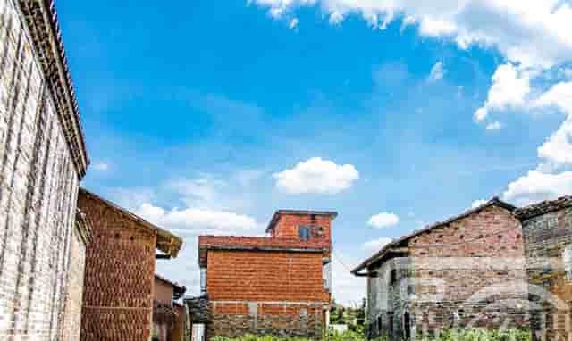 千车万人自驾中国“醉”美草原“99号公路”之旅暨《99号公路》网络微短剧项目启动