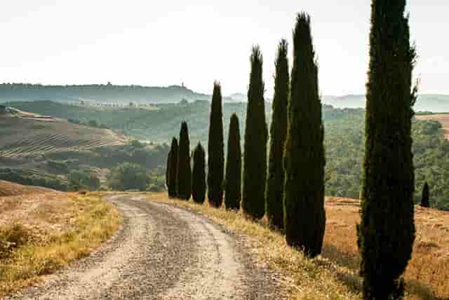 冬奥会停工停产(企业停工停产通知书)