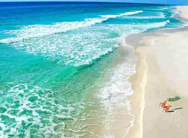 袖虎病狗攻略：狗狗喂养的4大误区和7大正确方法