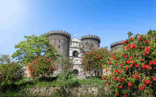 袖虎宠物商业调查：开宠物店如何采购活体资源