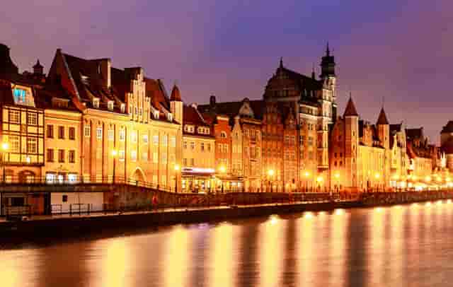 袖虎病猫攻略： 猫咪耳螨的认知与治疗