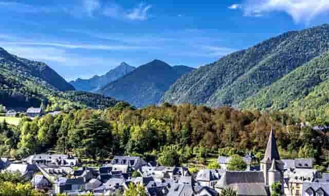 袖虎病狗攻略：狗狗鼻炎别大意