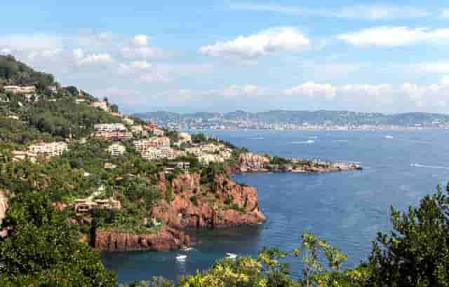 袖虎病猫攻略：猫咪嘴肿怎么办？