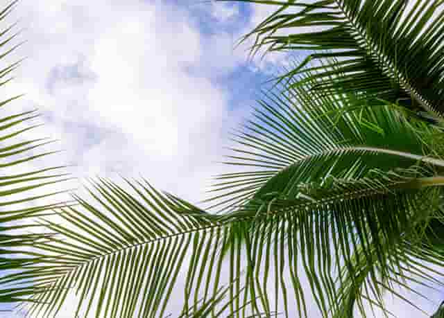 担心加盟宠物店无利可图？袖虎宠物告诉你行业真相!