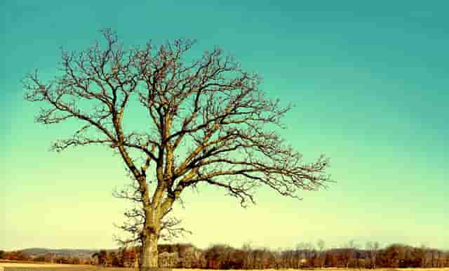 怀孕肚子疼难过(怀孕第一个月肚子疼正常吗)