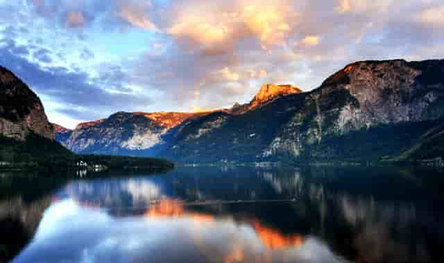 袖虎病狗攻略：狗狗口腔保健，拒绝口臭