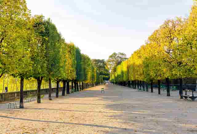 袖虎病狗攻略：如何预防犬细小