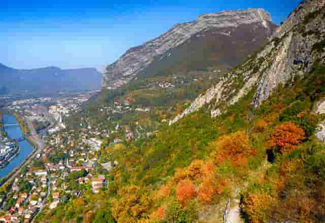 袖虎加盟店：养宠骗局分析1