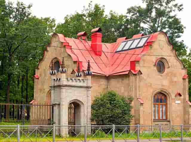 袖虎病猫攻略：猫反复长跳蚤是为什么？