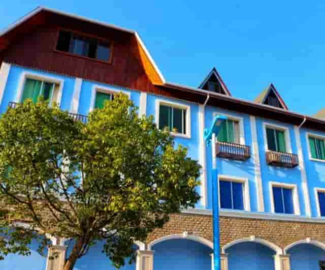 袖虎病猫攻略：猫咪得了角膜炎怎么办