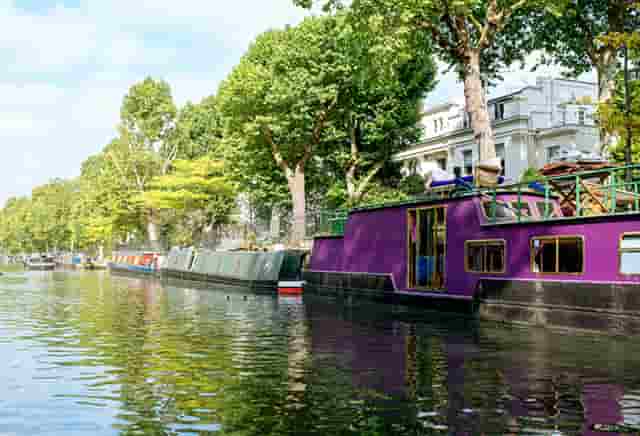 袖虎的猫狗为什么会那么贵