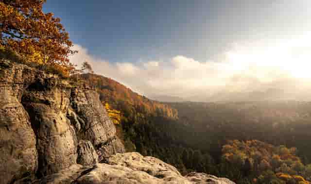 袖虎病狗攻略：不让碰爪爪？小心这是病