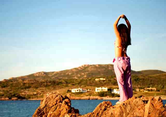 袖虎病猫攻略：猫咪便秘怎么办