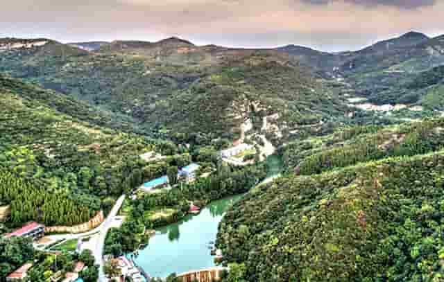 袖虎病猫攻略： 如何判断猫咪健不健康 宠物生活小百科