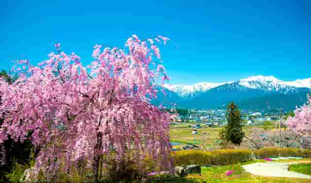 酌古沿津探滦水，扬帆起航新征程