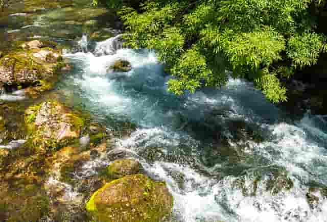 被夹脖子的剧情(掐脖子剧情)