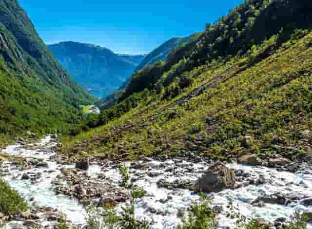 老人梦见有人送我红薯(老人梦见有人送小孩子)