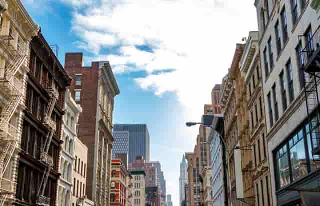 袖虎病猫攻略：人吃的药能喂猫吗？